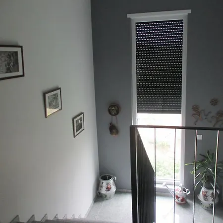 Sonhos D'ouro Ribeira (Penaguiao)