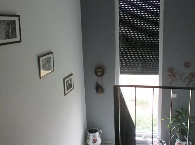 Sonhos D'ouro Ribeira (Penaguiao)